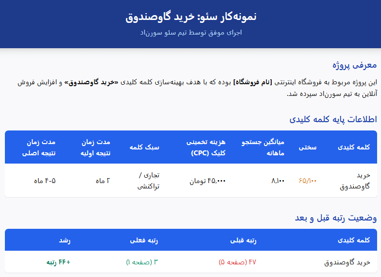 نمونه کارهای موفق سئو سورن اد
