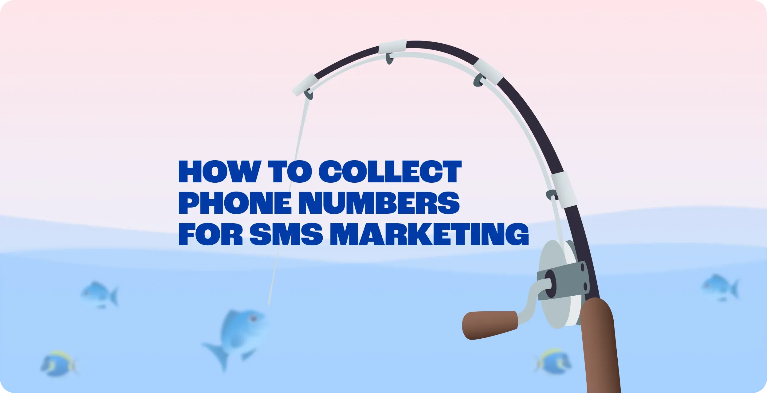 SMS